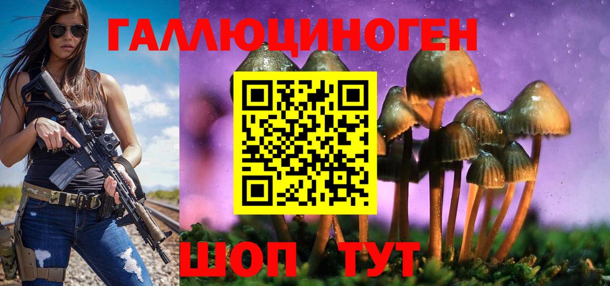 Псилоцибиновые грибы Psilocybine cubensis Верхняя Пышма