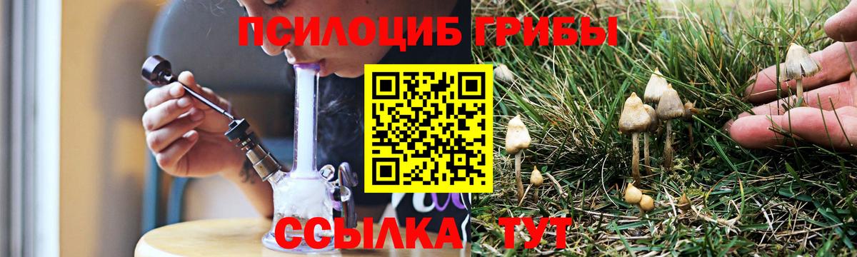 Верхняя Пышма  Псилоцибиновые грибы ЛСД  Вход с VPN 